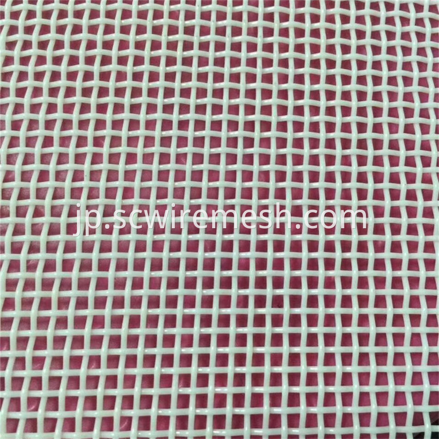 Plain Weave Polyester Mesh